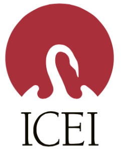 A vibrant design featuring a logo, clipart, graphics, and font on the ICEI website.